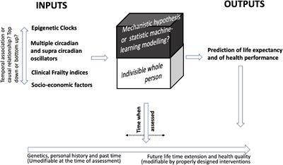 The Frailty Puzzle: Searching for Immortality or for Knowledge Survival?